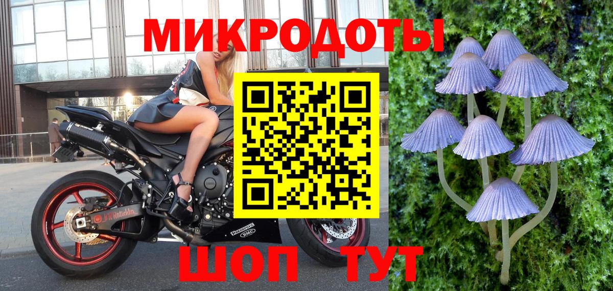 Галлюциногенные грибы Psilocybine cubensis  Вход с VPN  Псилоцибиновые грибы прущие грибы  Биробиджан 